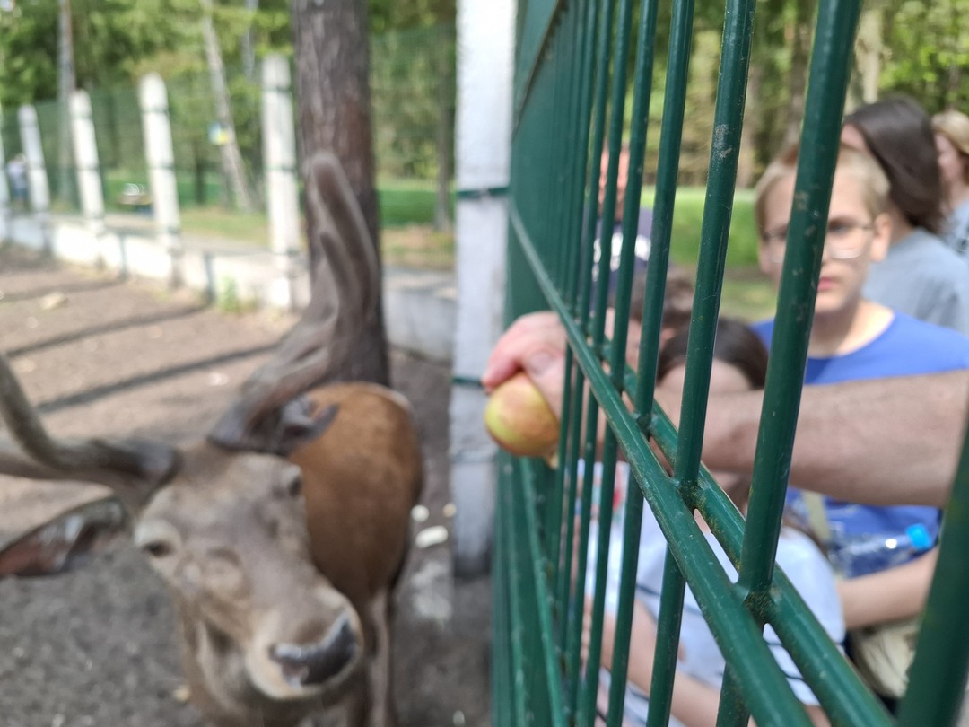 Посетили пущу, по пути заехали ещё в несколько мест. Все что касается рассказа о животных и