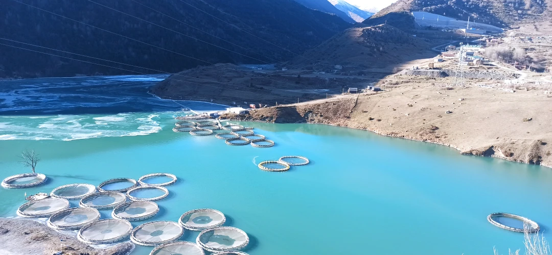 Алан любит историю и с удовольствием делится ею с туристами. Ездила с Аланом в Южную Осетию