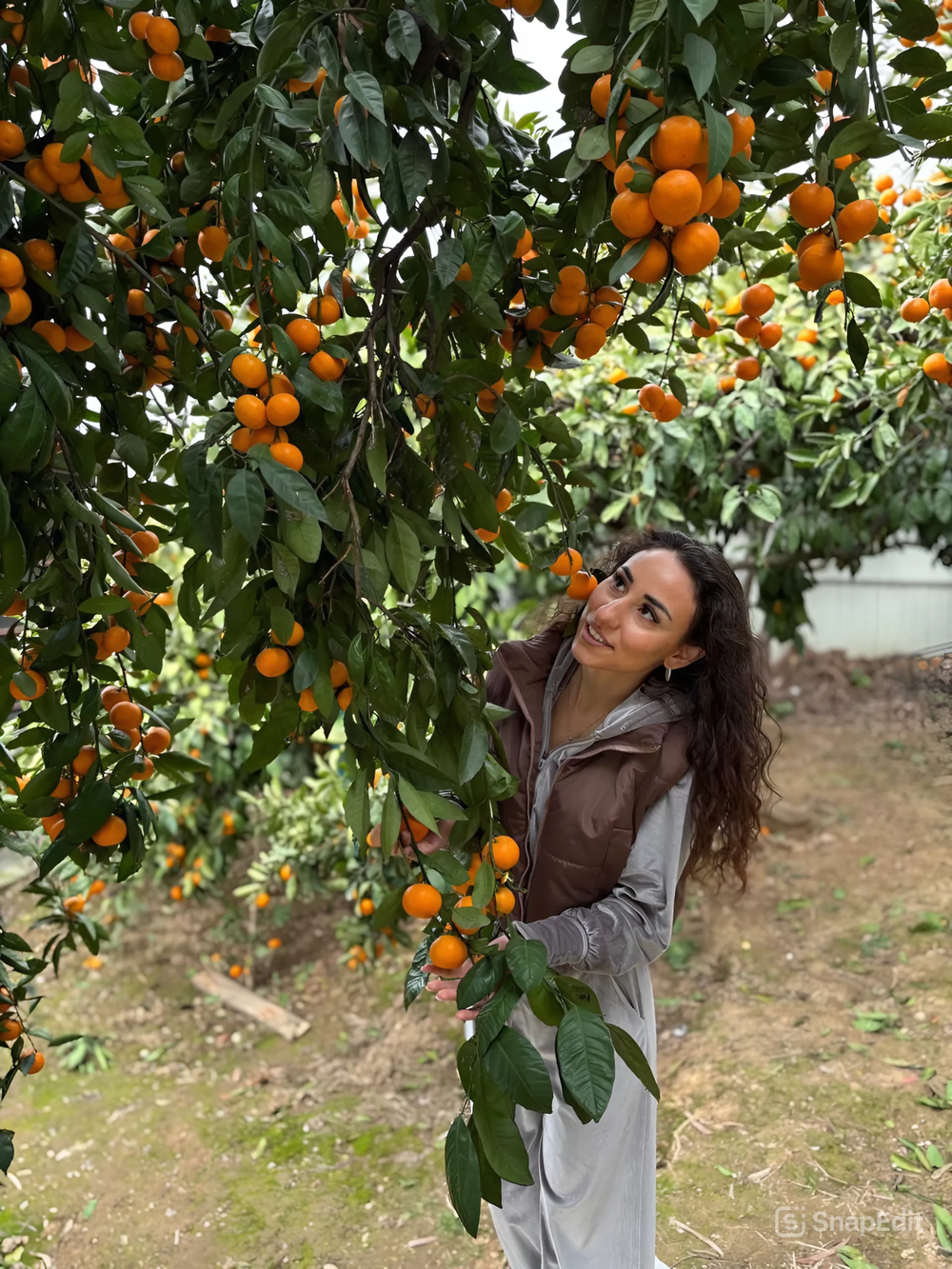 Абхазия в объективе: путешествие с мобильной фотосъёмкой (10/20)
