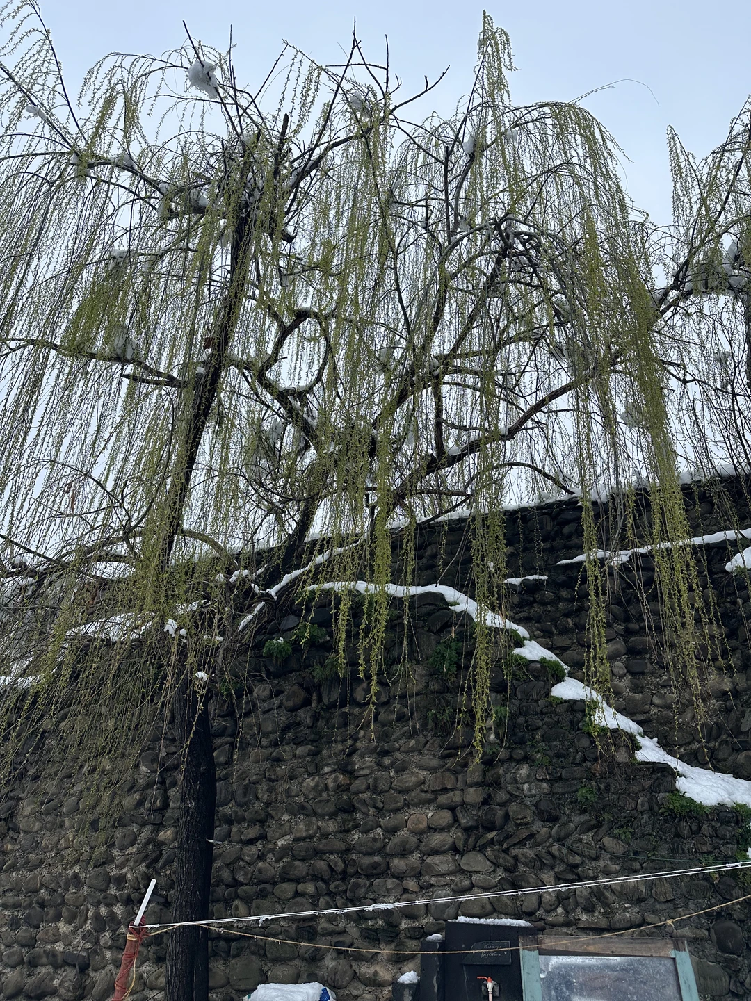 Кахетия: вино, легенды и красота (в группе) (Екатерина)