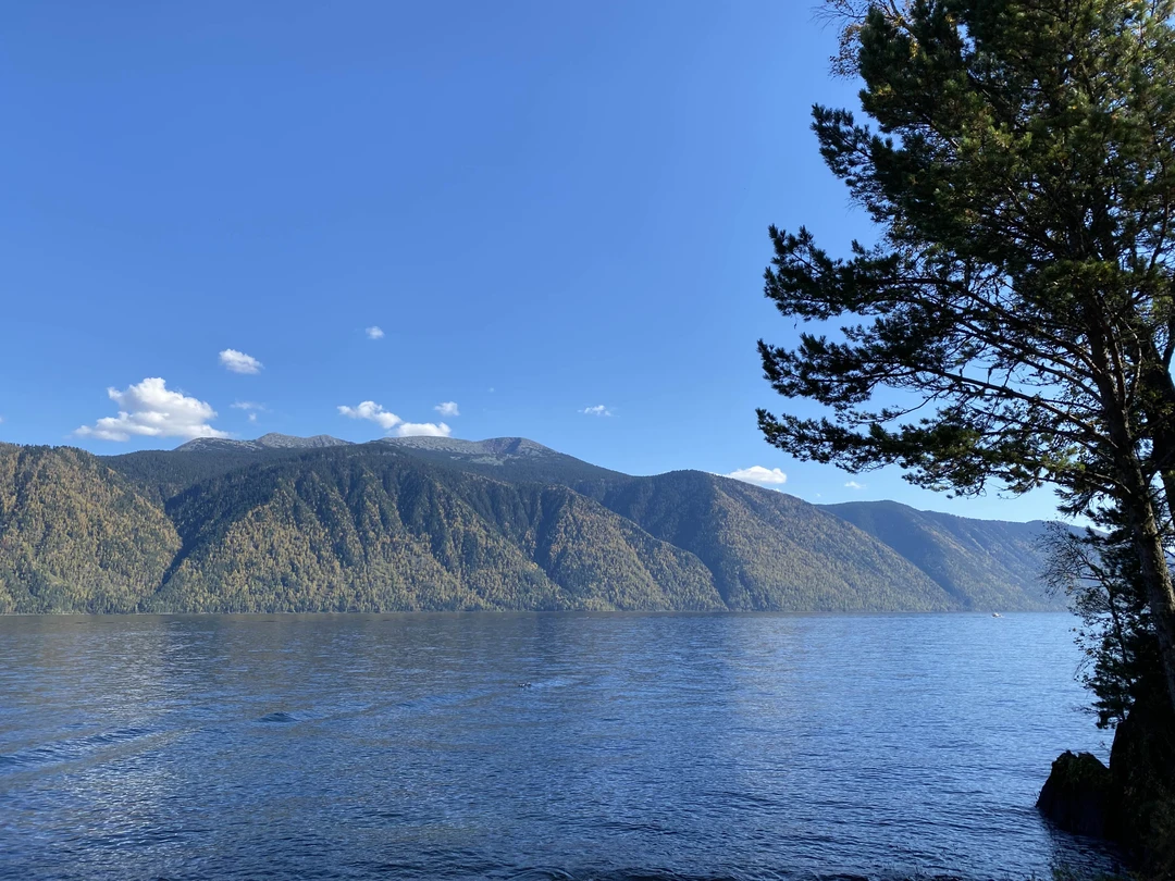 Не хватит слов и эпитетов, чтобы передать весь восторг от экскурсии на Телецкое озеро с Марией