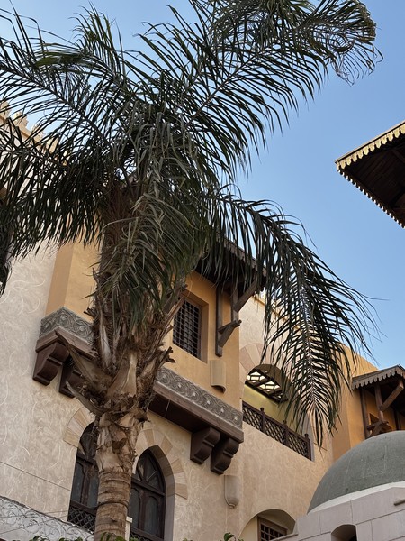 Замечательная прогулка с гидом Екатериной! Красивая локация, успели застать как светлое время суток, так и закат