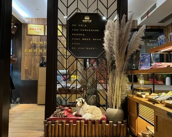 Панды, горы, Старый город