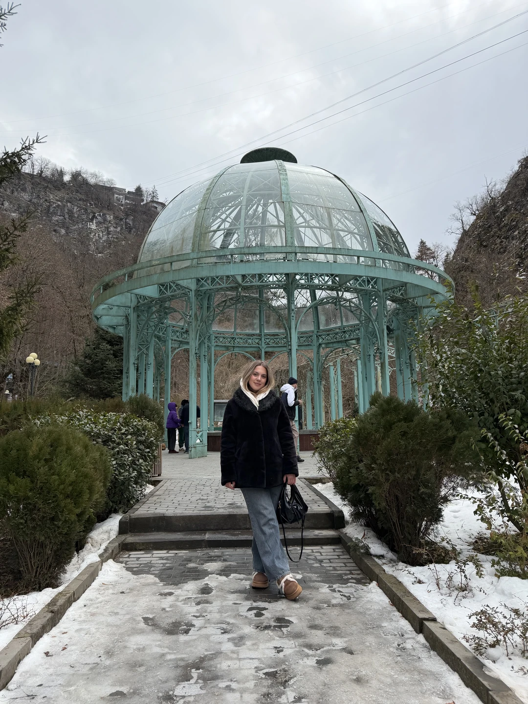 Из Тбилиси - в зимний Боржоми и Бакуриани (Владлена)