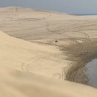 Фото отзыва 1: экскурсия "Сафари из Дохи — к Хор-аль-Адаид"