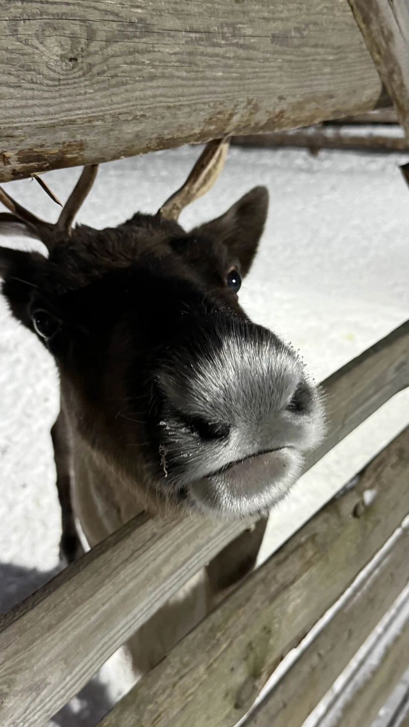Шикарное приключение на край земли! Этот день у нас останется в памяти навсегда)))