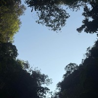 reviews img