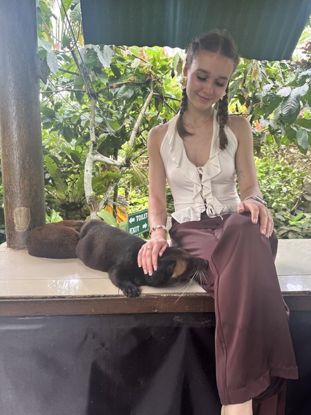 Отличная экскурсия, большое спасибо гиду Силе, прекрасно владеет русским языком, шутит, атмосфера в поездке чудесная! Узнали