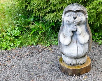 Гора Сампо, погружение в культуру, «Марциальные воды», древний кратер и водопад Кивач