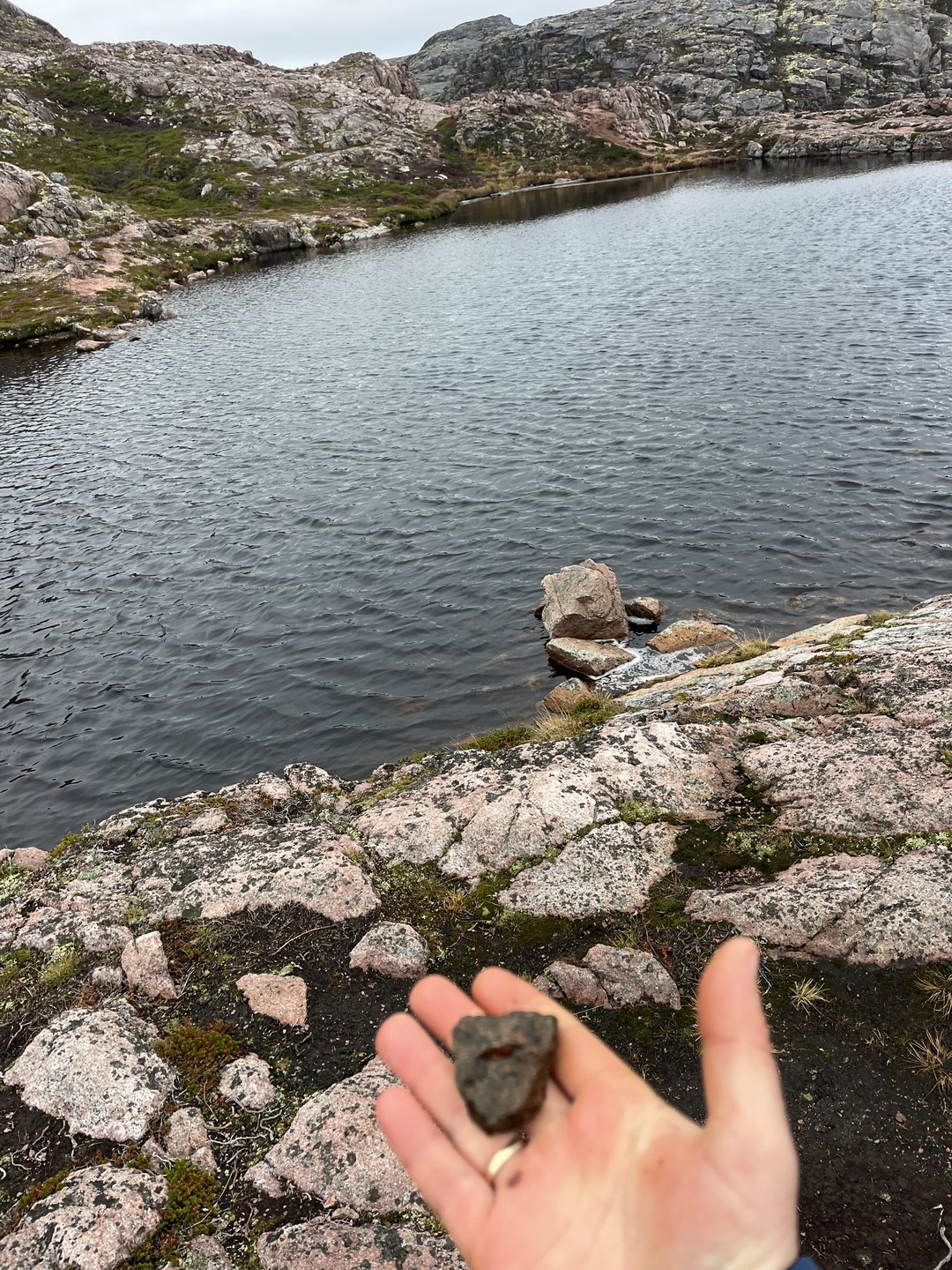 У нас была экскурсия с Никитой. Отлично продуманный маршрут экскурсии, парень отлично водит. Локации просто фантастика