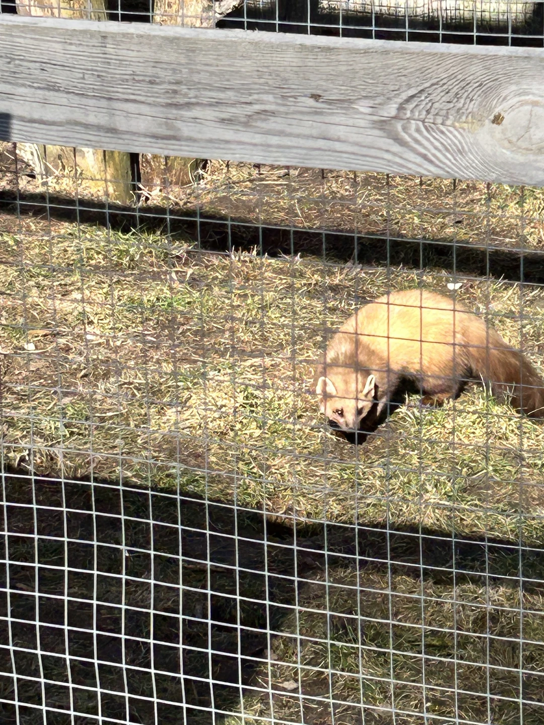 Великолепная экскурсия!