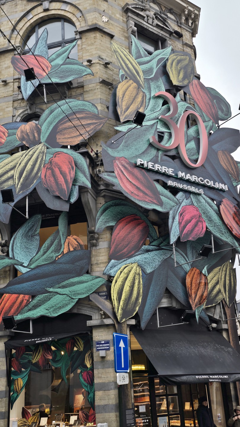 История Брюсселя с XV века до наших дней (Наталья)