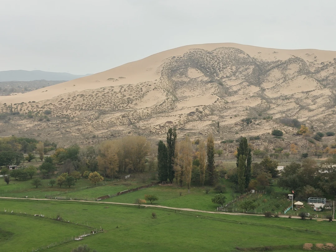 Гаджимагомед молодец, встретил, отвёз после экскурсии в нужное нам место, учёл все пожелания, жаль время пролетело