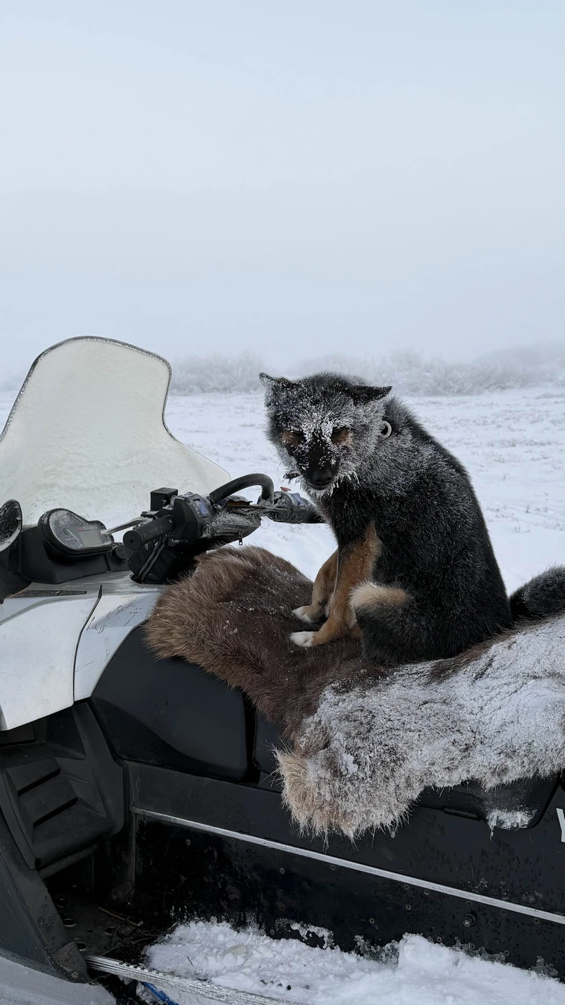 Федор отличный гид, душевный человек. Все было не обычно, все понравилось. Еда отличная, баня супер!