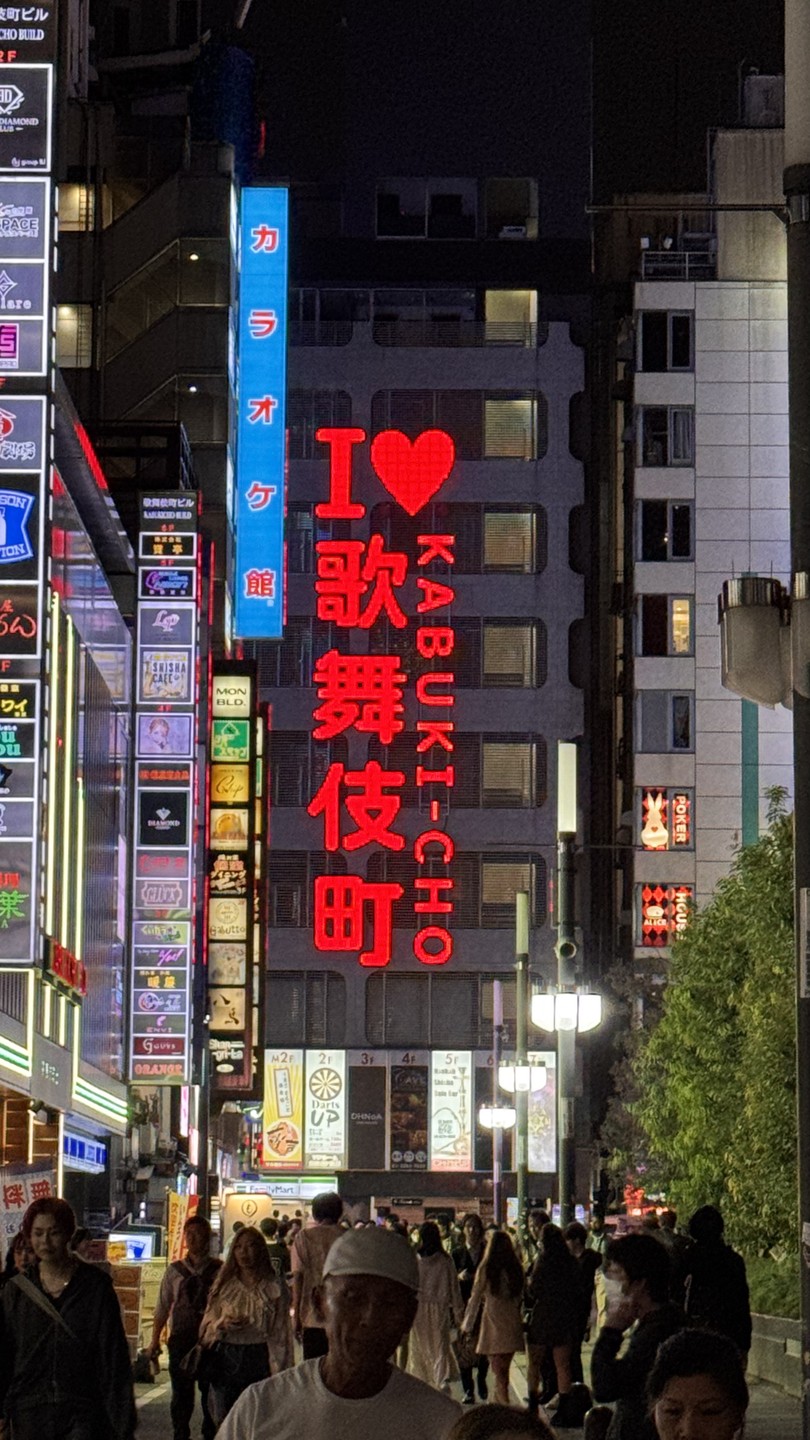 Тёмные аллеи Токио (18+) (Анастасия)