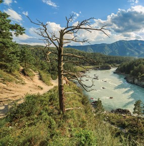 Козья тропа