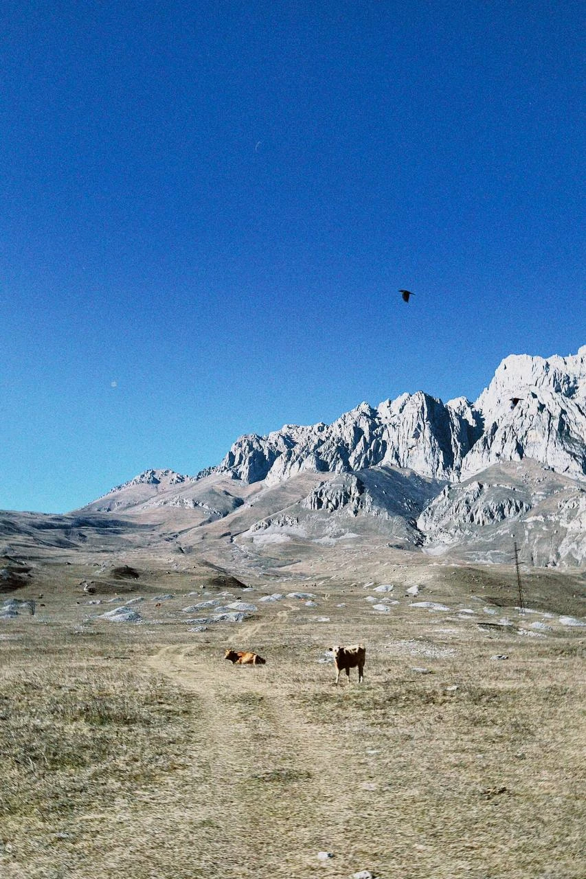 Тот случай, когда всё сложилось просто идеально, и ожидания не просто совпали с реальностью, а реальность