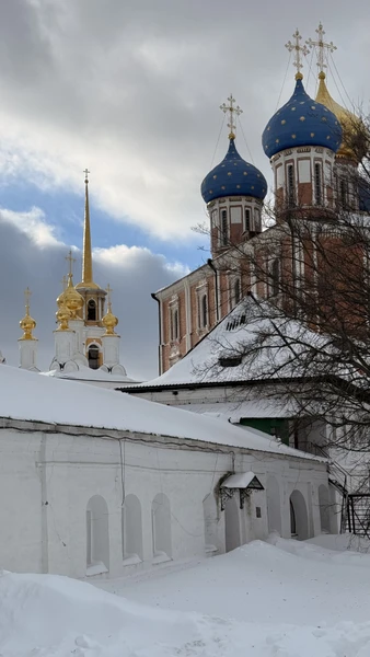 Рязань сквозь века (Игорь)