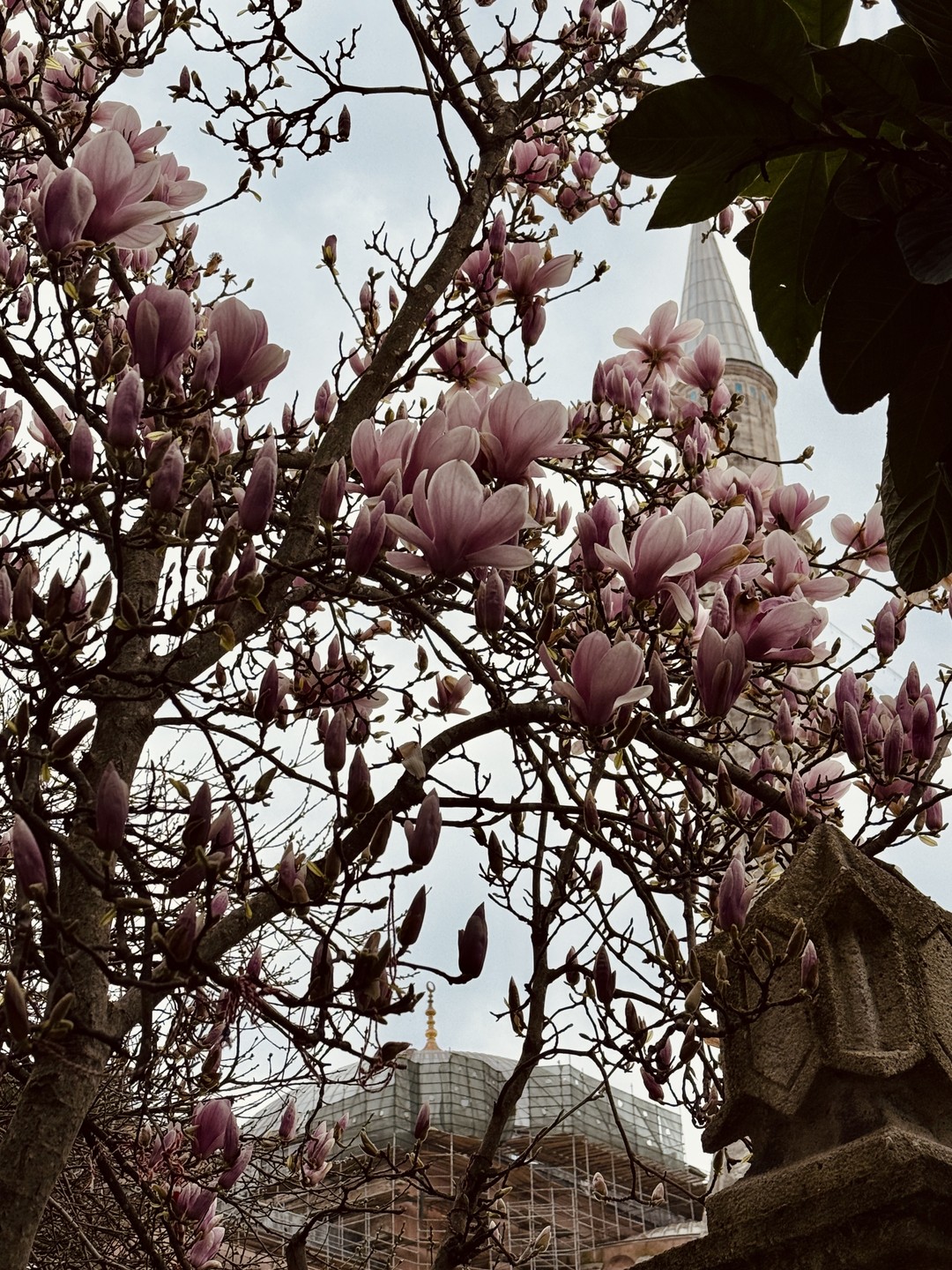 Очень понравилась экскурсия! Мы посмотрели все, что можно - цистерну базилика, голубую мечеть, дворец Топкапы, мечеть