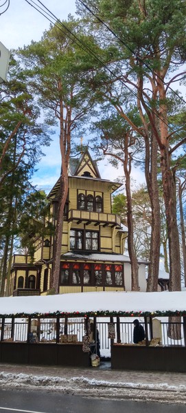 Всё понравилось, спокойно прогулялись по городу, услышали много интересного, налюбовались необычной архитектурой, морскими видами, новогодним Светлогорском