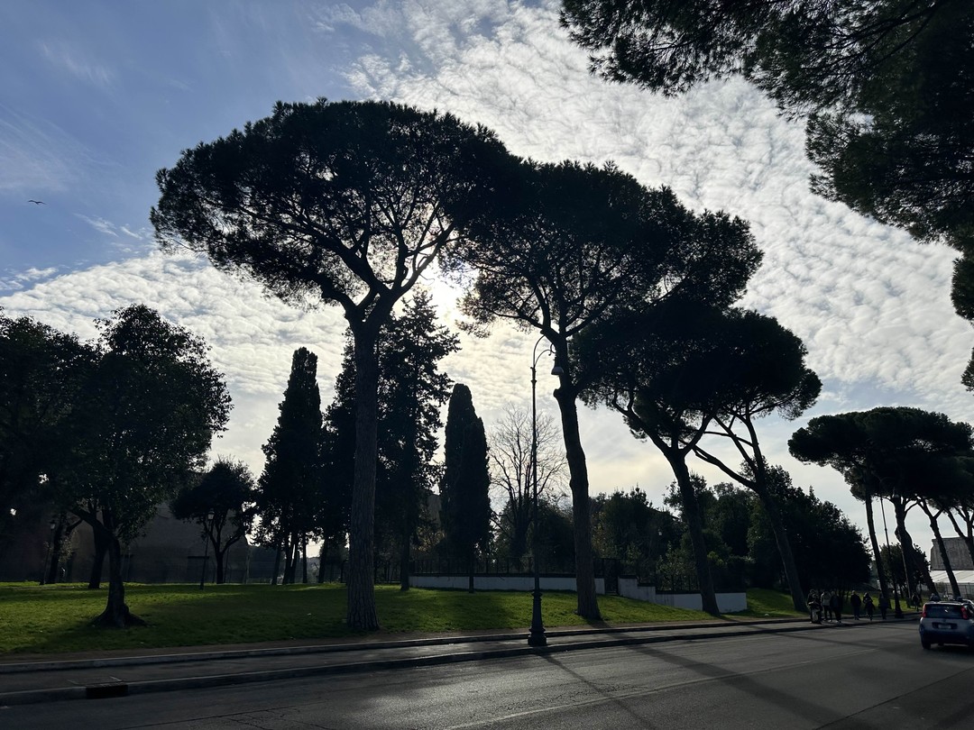 Очень насыщенная, познавательная и в то же время не обременительная прогулка по достопримечательностям Рима. Большое спасибо