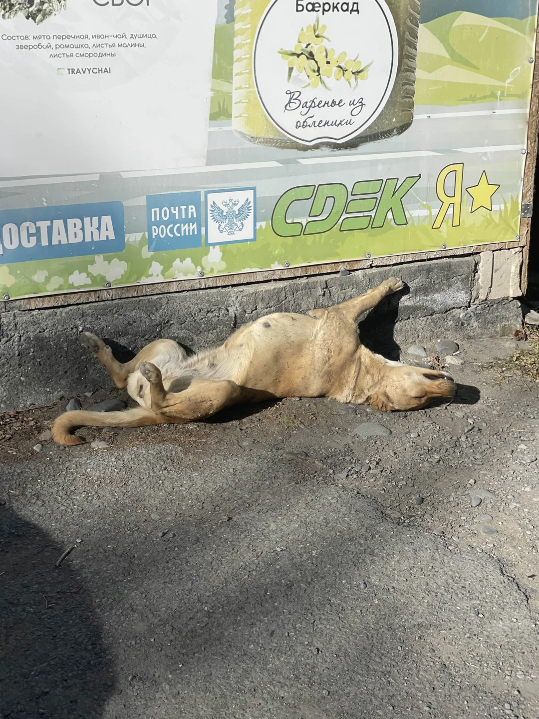 Отличная поездка! Все супер!