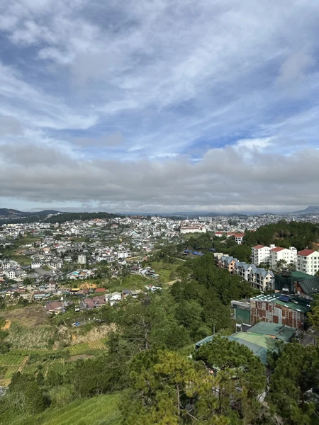 Далат на максимум (из Нячанга) (Olga)