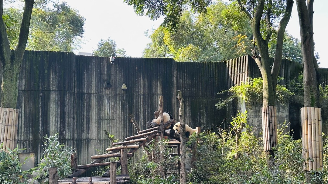 Спасибо Ольге за такую замечательную, познавательную и интересную экскурсию. Прекрасный рассказчик и собеседник. Сразу нашла общий