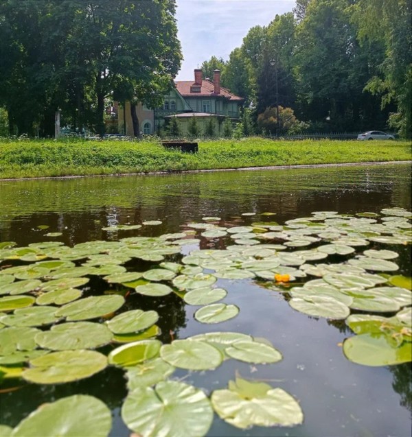 Виды Каменный остров: добро пожаловать в тайный сад императора