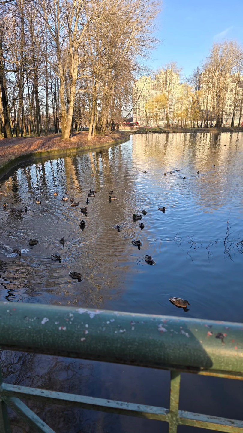 Очень понравилась и сама Мария и то, как она провела экскурсию. Маршрут был выбран отличный, информация