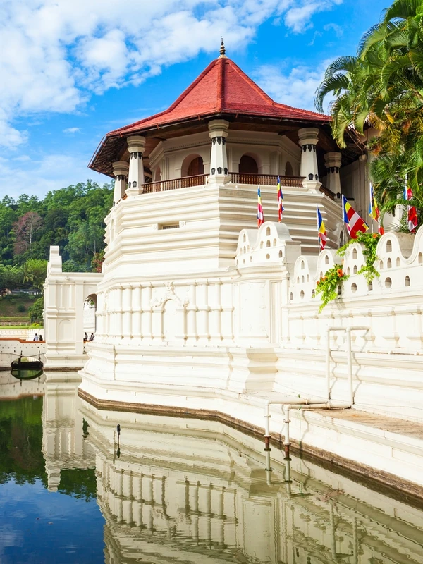 Экспресс-погружение в ланкийскую культуру: индивидуальный тур с джип-сафари