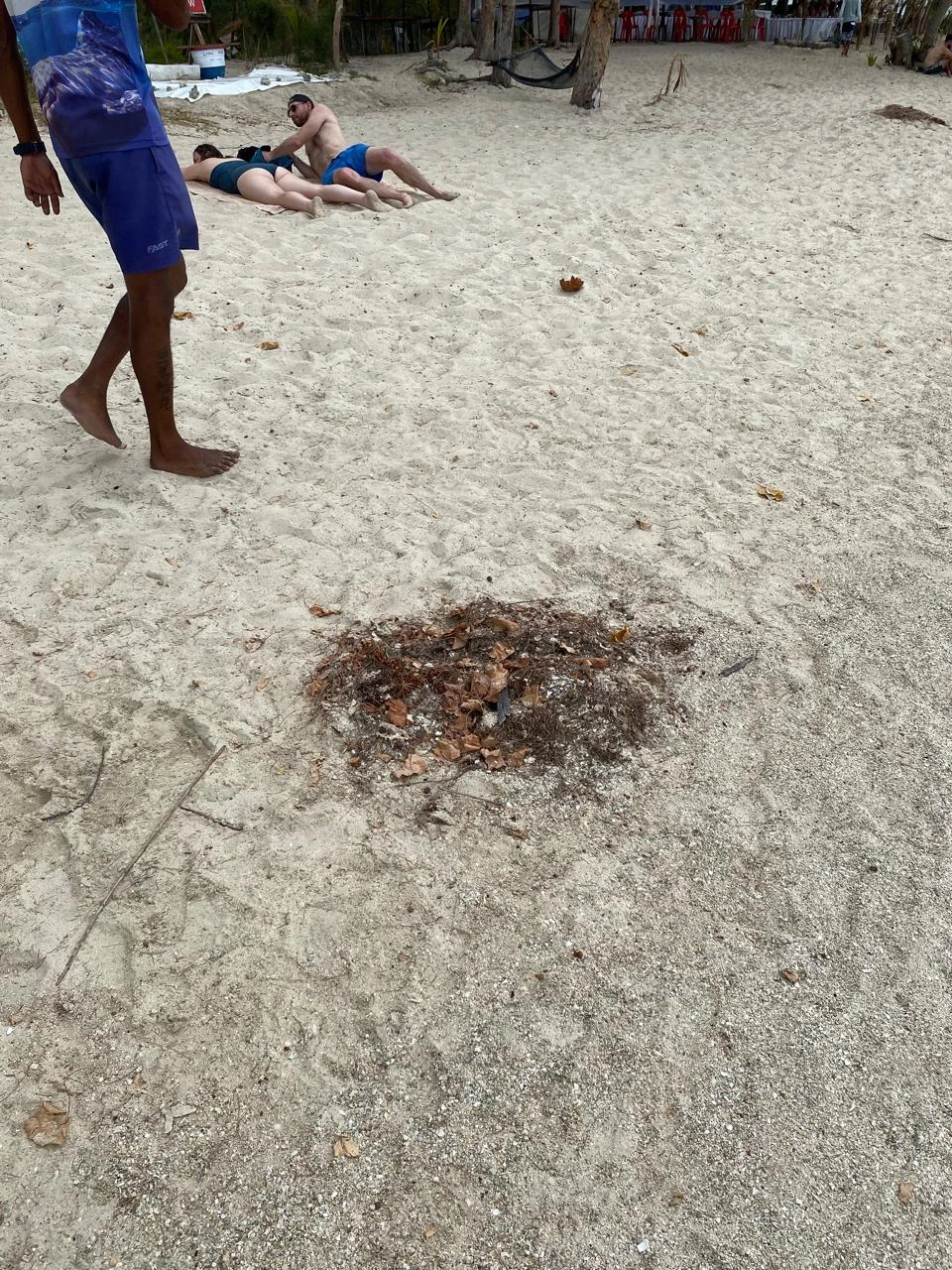 Были на экскурсии 03.11.2025, полное несовпадение с описанием, разочарование и обида, тк другие экскурсии, купленные здесь