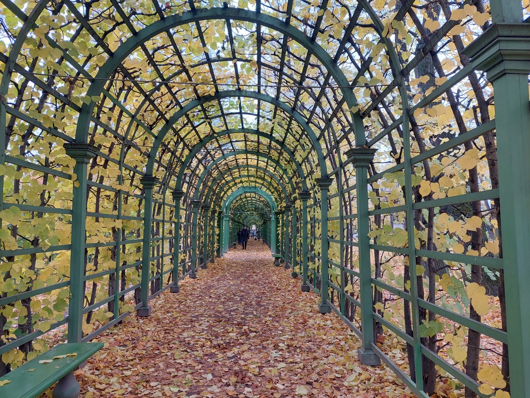 Давно хотели побывать на этой экскурсии, т к любим сады и парки Петербурга, хотелось прогуляться по