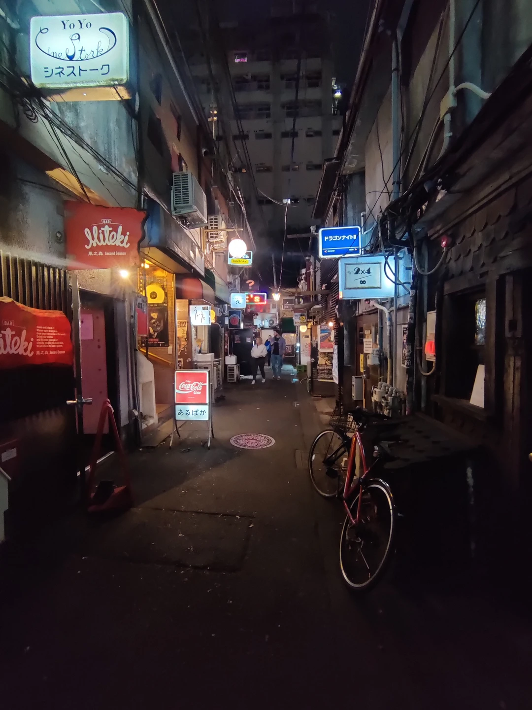 Тёмные аллеи Токио (18+) (Екатерина)