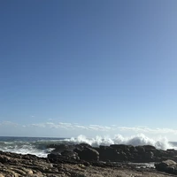 Фото отзыва 1: экскурсия "ЮАР — Херманус: киты, вино, пингвины и закат"