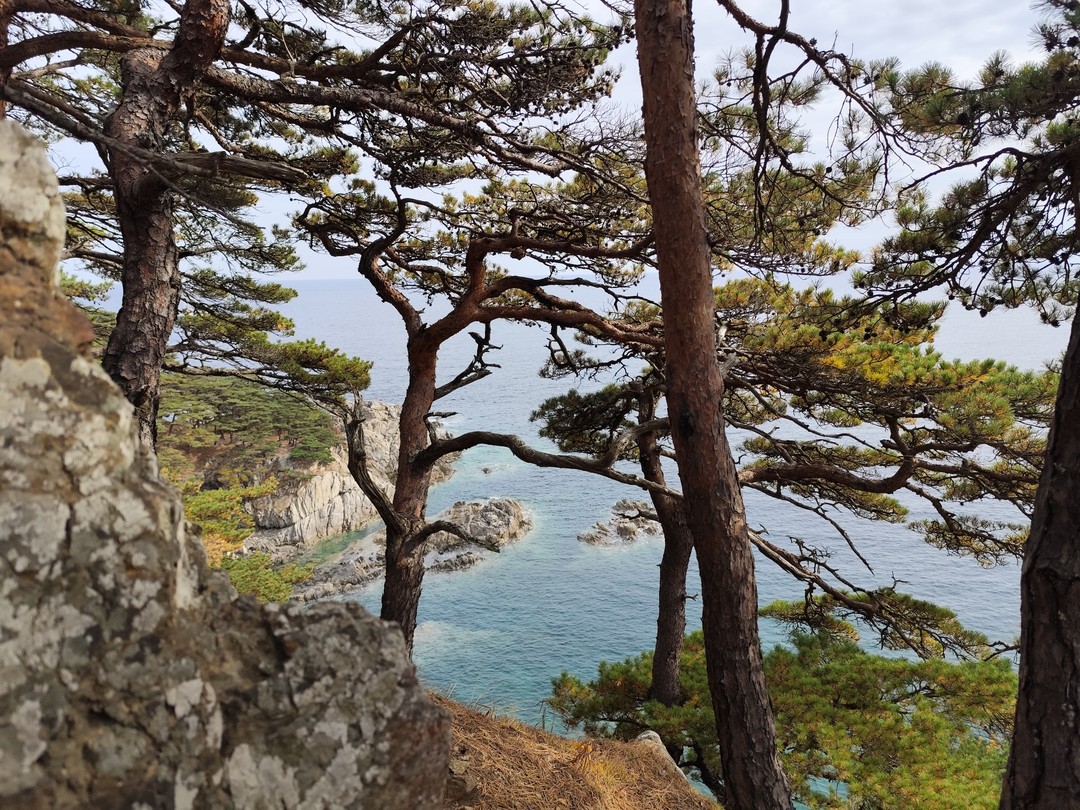 Очень понравился полуостров в осенних красках! Гид Илья лучший, свое дело знает и очень им болеет