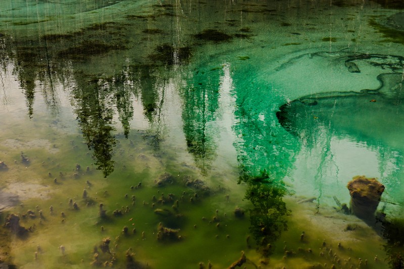 Алтайская сокровищница: автотур по знаковым природным локациям края в мини-группе