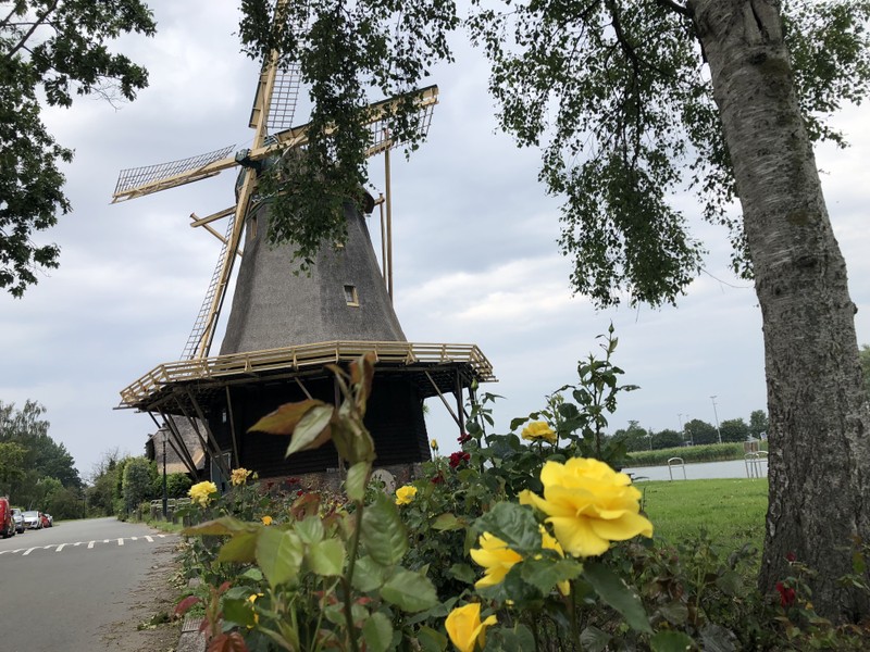 Велопрогулка по окрестностям Амстердама