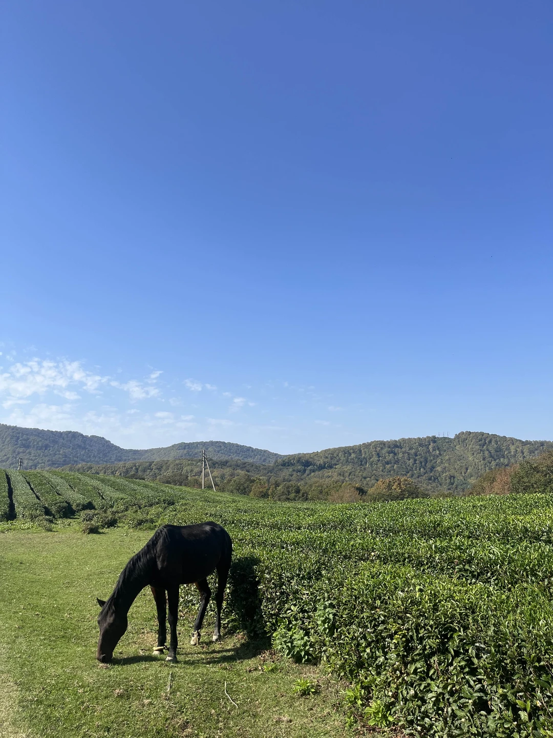 Экскурсия отличная, понравилась 👍🏼 рекомендуем!