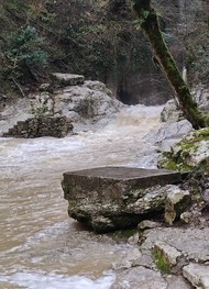 Фото отзыва 2: экскурсия "Групповая обзорная экскурсия по Сочи"