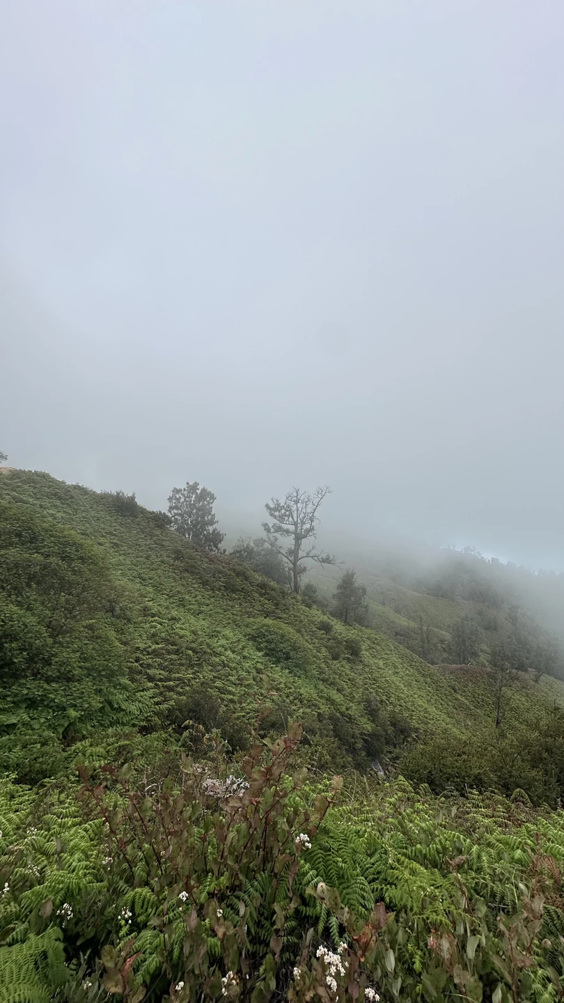 Это одна из моих самых лучших экскурсий!!! Очень рекомендую!!! Гид Стас просто класс!!! Настоящий профессионал своего