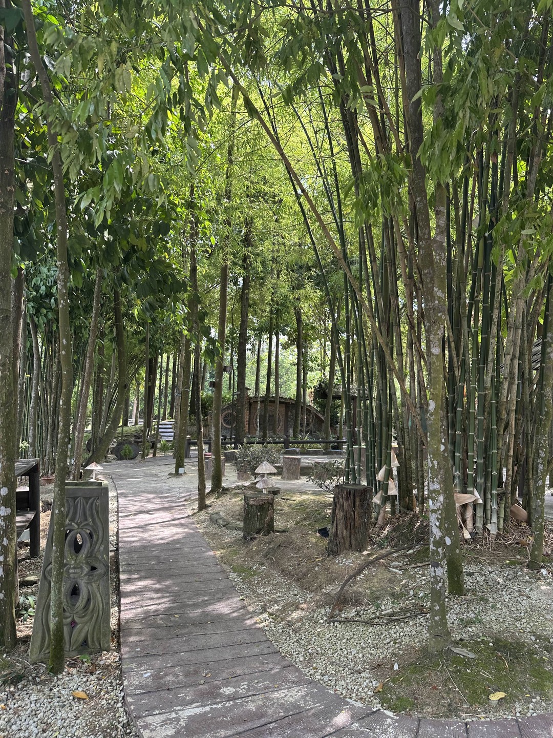 Советую от души гида🌟❤️!