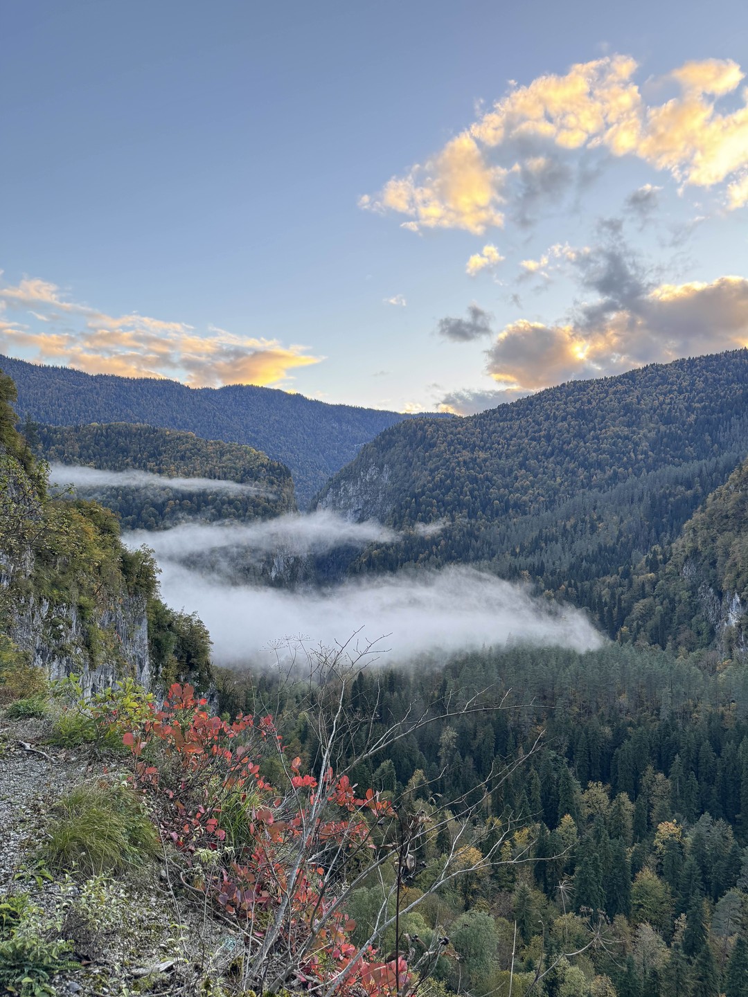 21 октября 2025 года путешествовали из Адлера в Абхазию (выбрали для себя озеро Рица и окрестности)