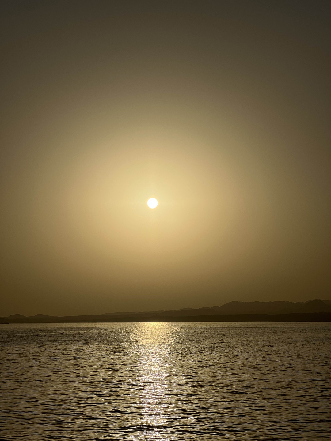 Сбежать с курорта: путешествие к рифам острова Тиран (Василисса)