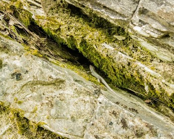 Встреча, трансфер до места старта маршрута, поход, стоянка