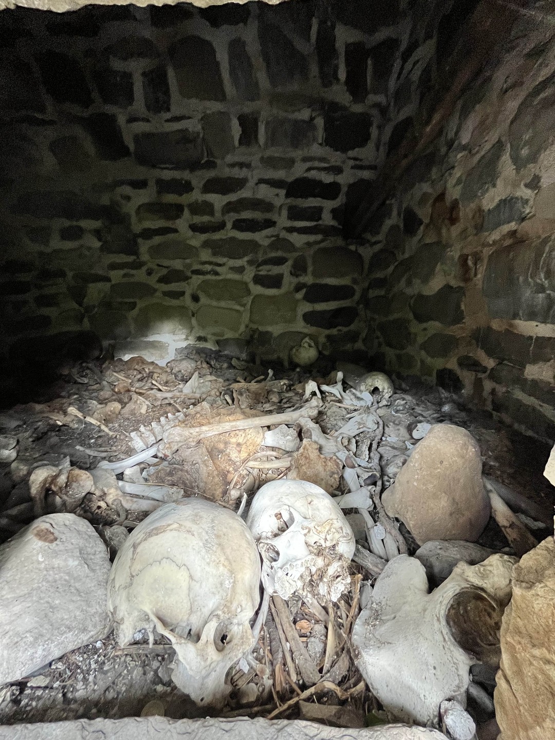 В целом поездка мне понравилась.