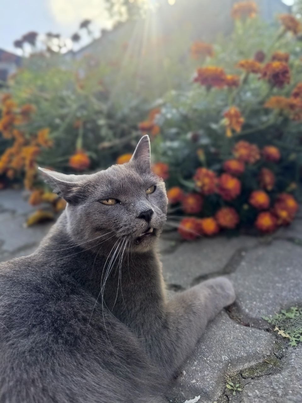 Великолепная экскурсия! Попробовали 5 сортов вин и два крепких напитка. Андрей Николаевич рассказывал обо всех напитках