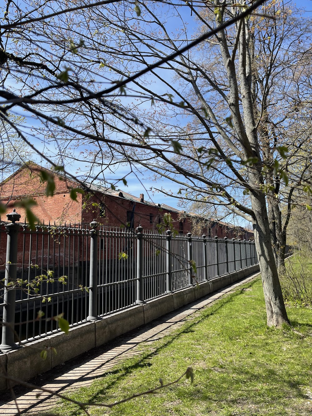 Кронштадт в мини-группе на комфортабельном автомобиле (11/15)