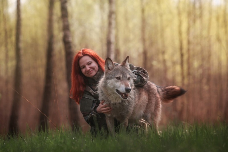 Фото - Экскурсия: "Прогулка с королёвским волком"