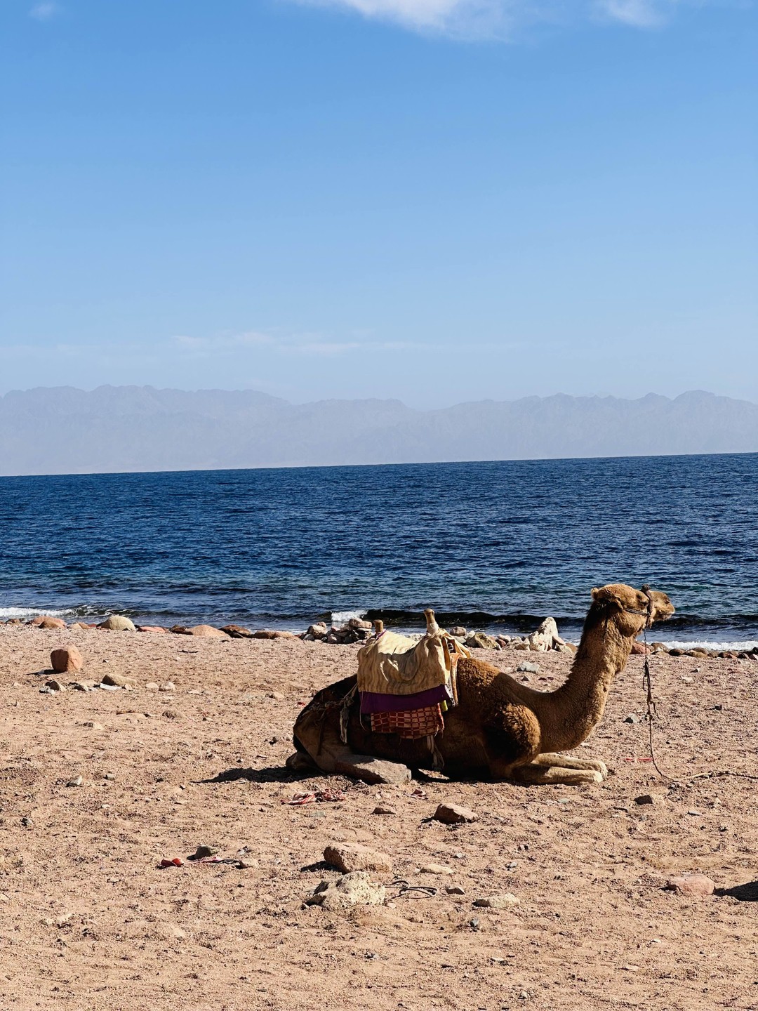 Честно говоря, особых ожиданий не было, - начиталась отзывов после бронирования и успела расстроиться и настроить